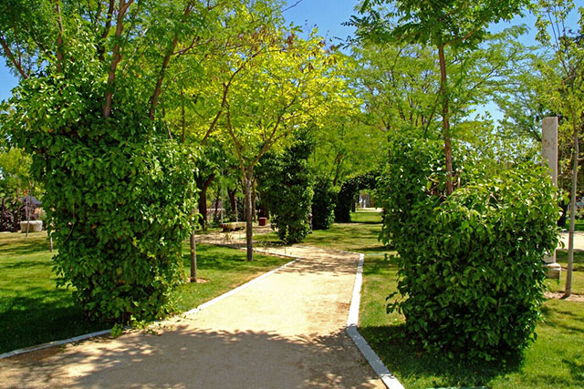 Paseo arbolado del Parque Histórico de San Sebastián