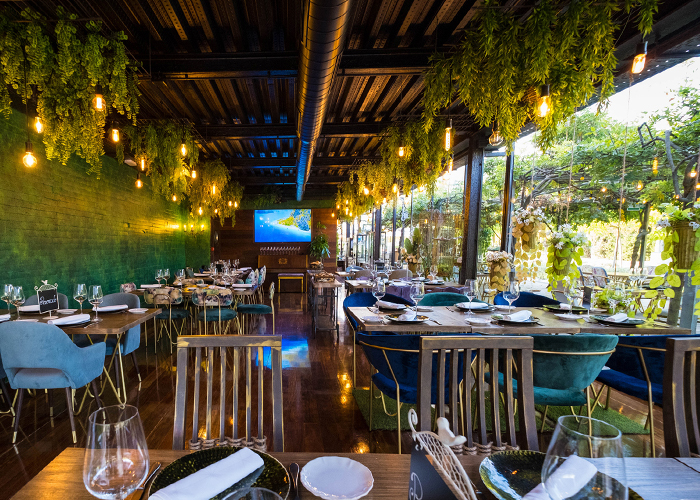 Salón interior con pared verde, plantas colgantes y bombillas cálidas