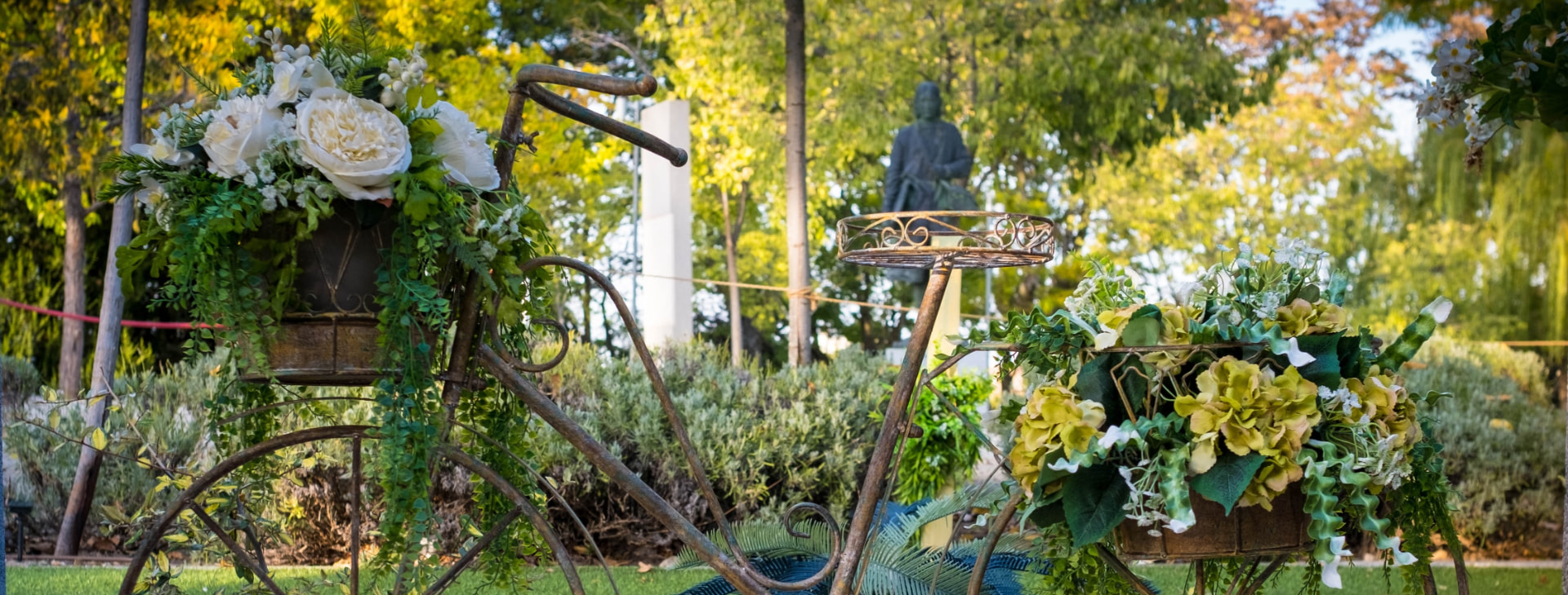 Bicicleta antigua decorada con flores blancas en la entrada del jardín del restaurante
