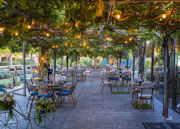 Terraza de El Jardín de Nora